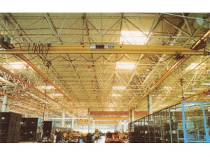 可以設計環(huán)行吊、手動單梁